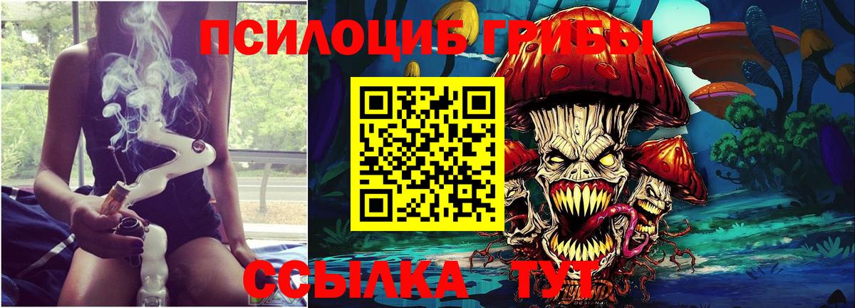 Губаха  Псилоцибиновые грибы GOLDEN TEACHER  Псилоцибиновые грибы мухоморы  Вход с VPN 