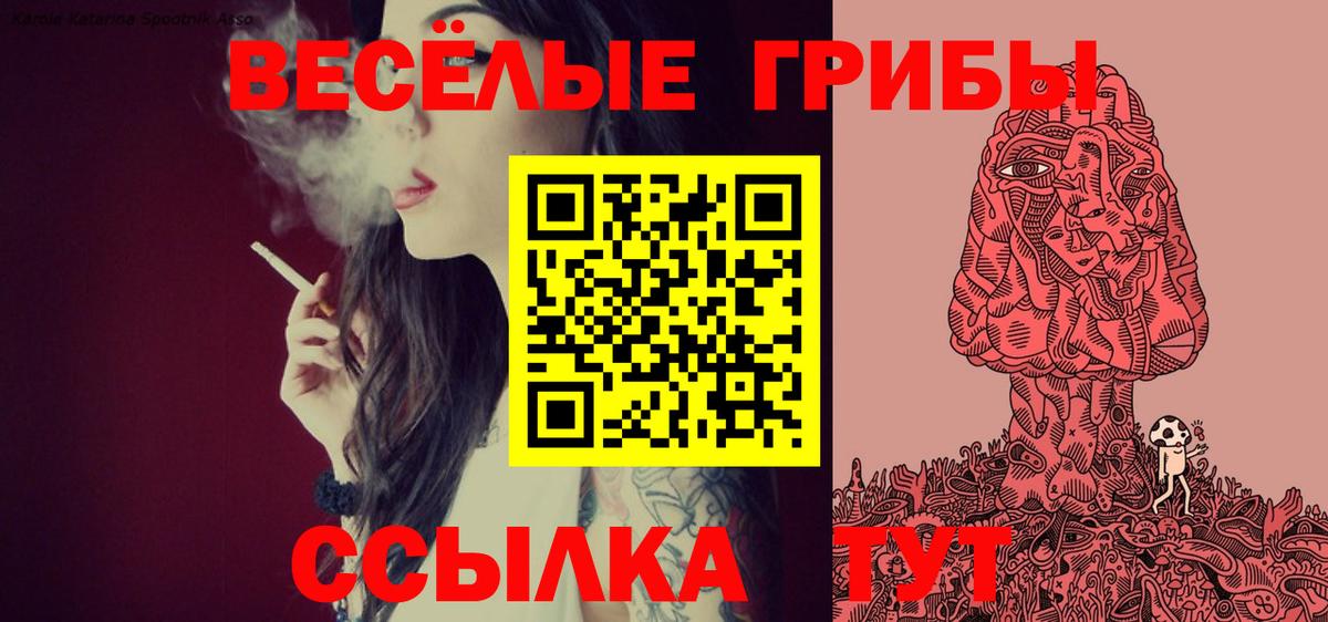 Псилоцибиновые грибы прущие грибы Губаха